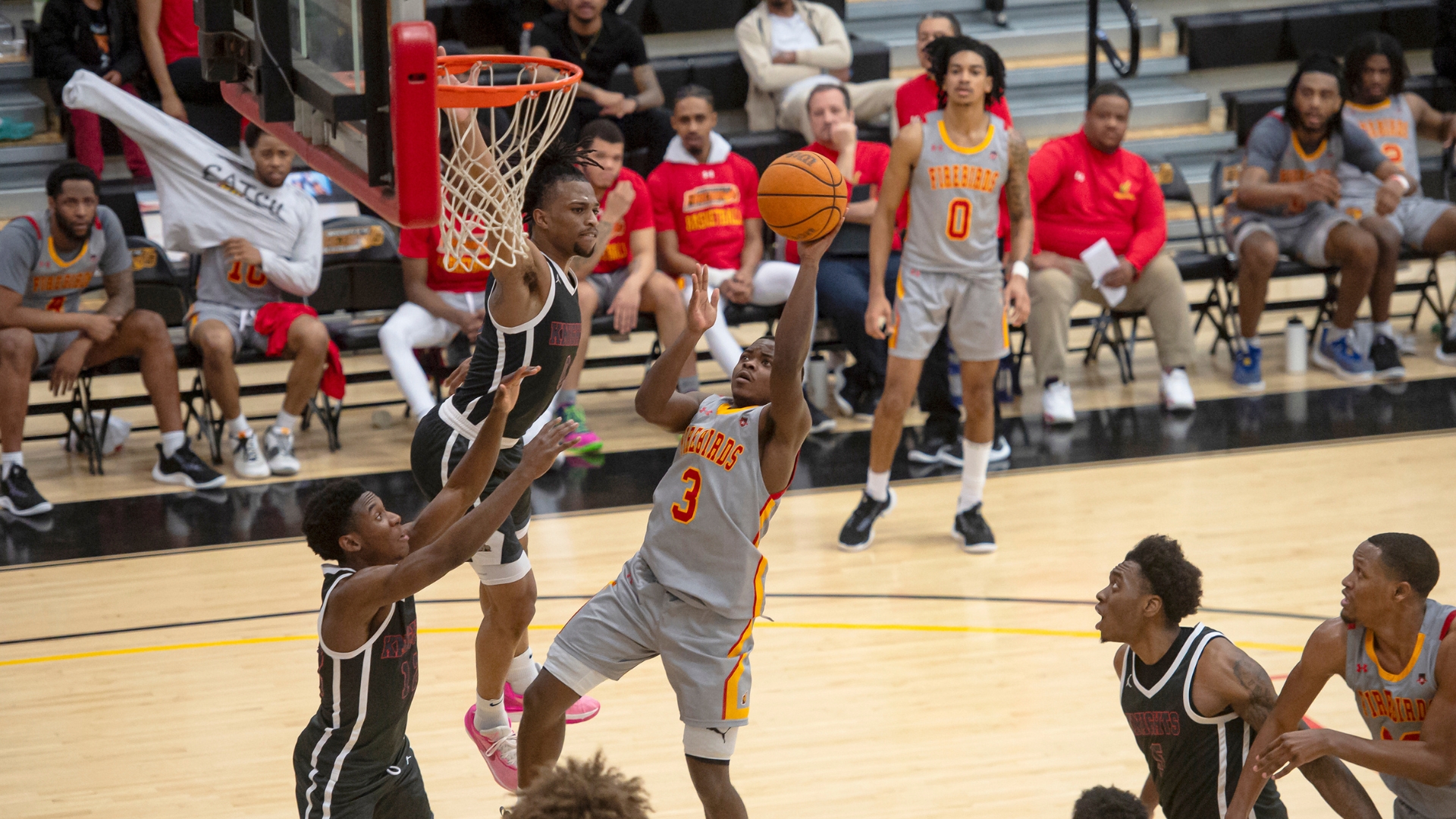 Firebirds Secure 5th Seed in ECC Tournament with Regular Season Finale Victory Over Lions