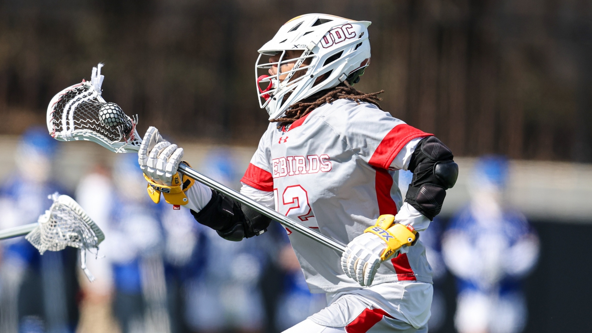 UDC Men's Lacrosse Fall to Post University in Home Matchup