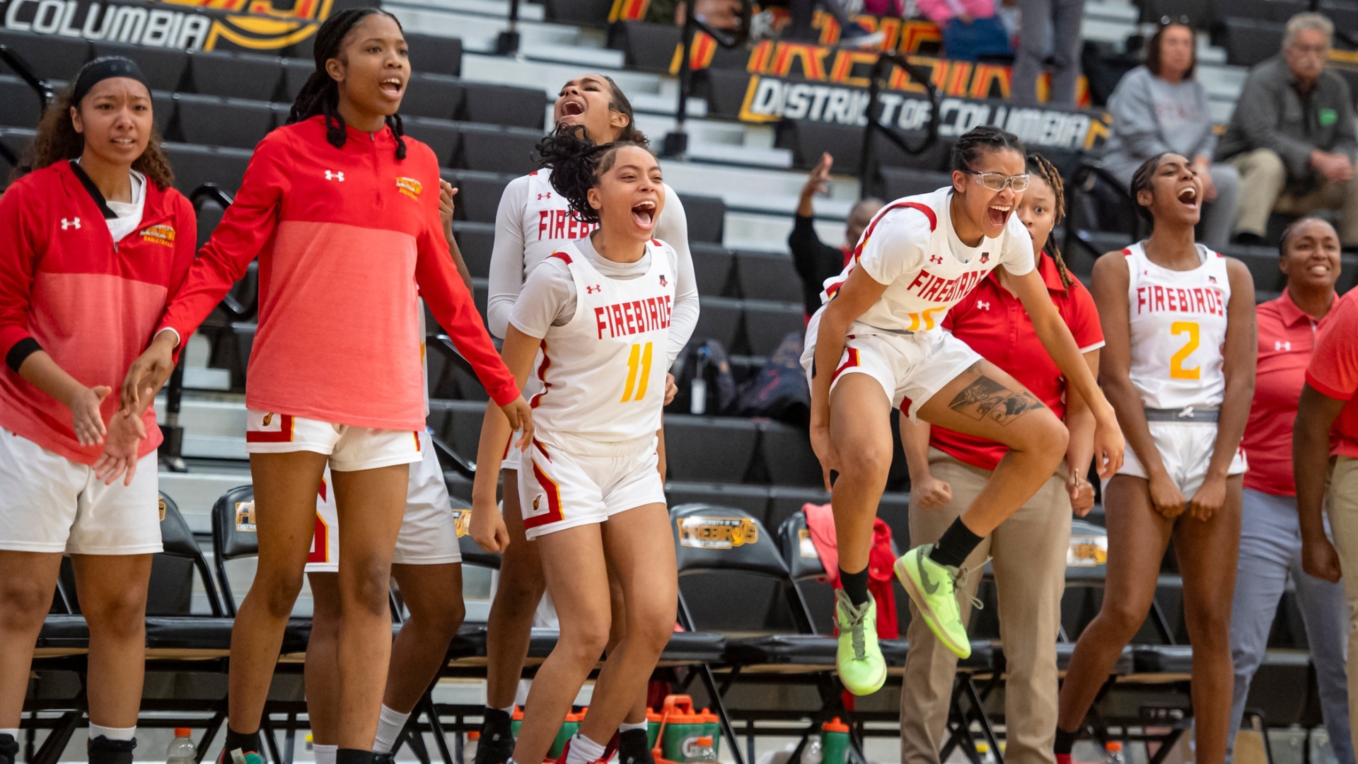 UDC Women's Basketball to Host ECC Quarterfinal