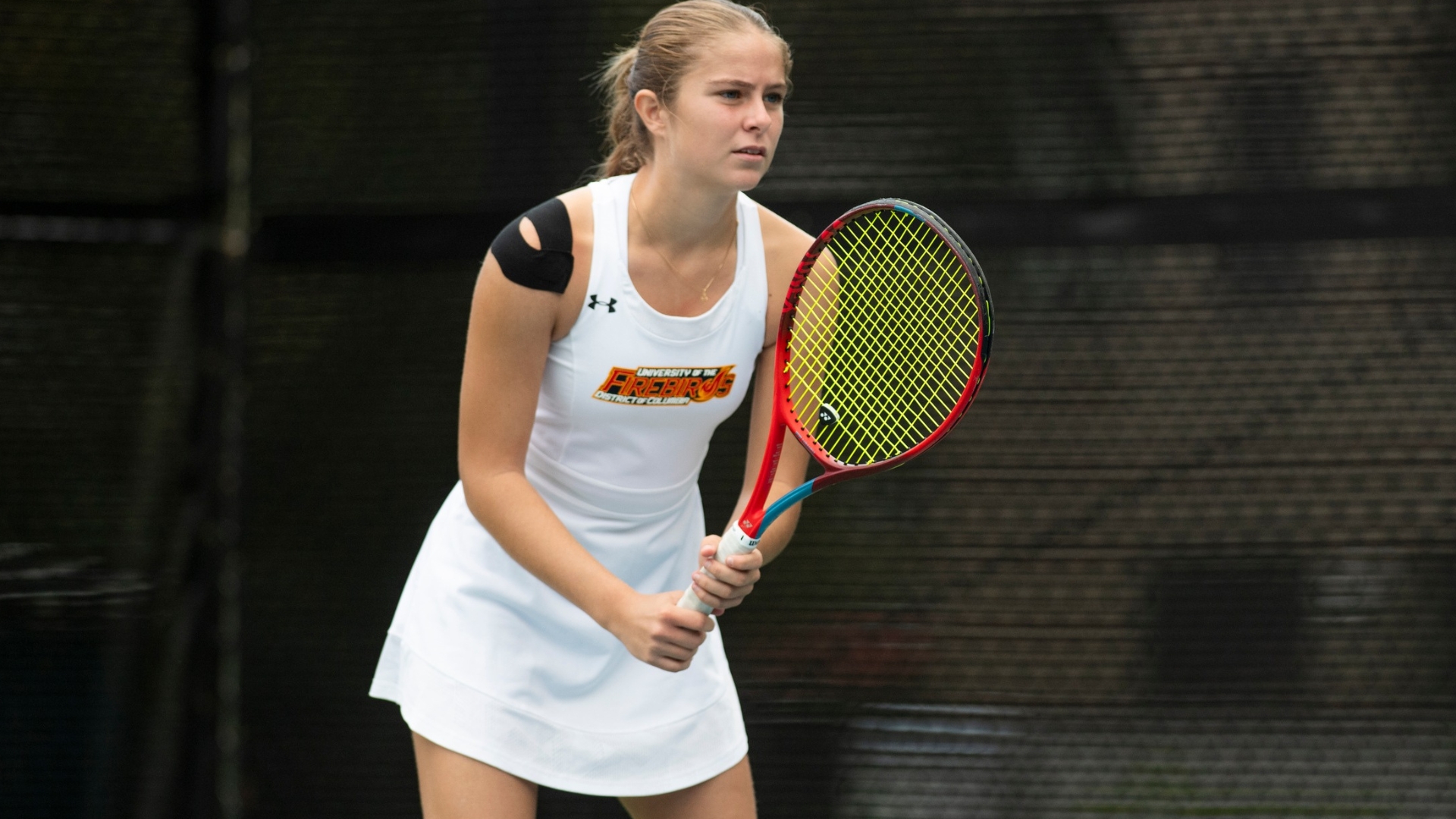 Bastin and Zelenstova Undefeated Against New Haven